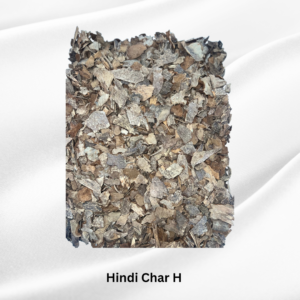 Hindi Char H